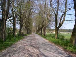 Wandern auf Usedom...