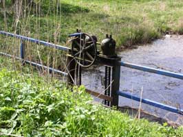 Wandern auf Usedom...